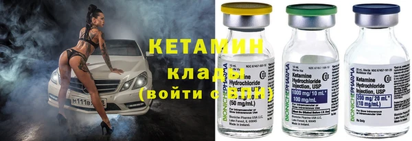 гидра Володарск