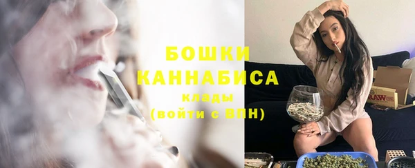 гидра Володарск