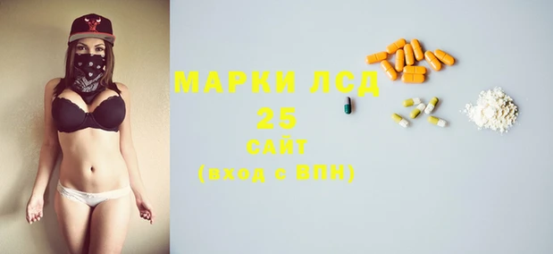 гидра Володарск