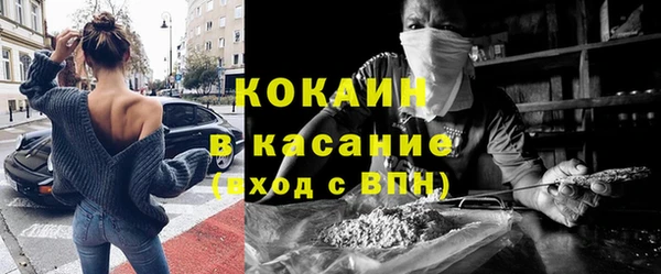 гидра Володарск