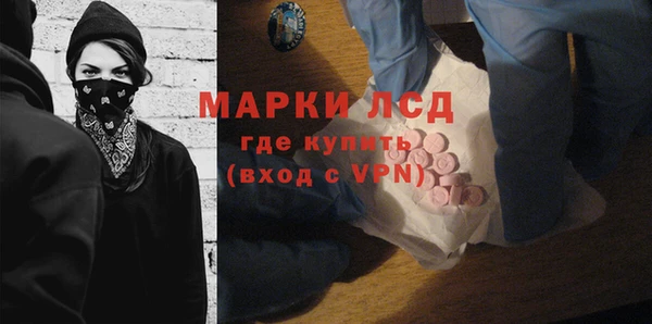 гидра Володарск